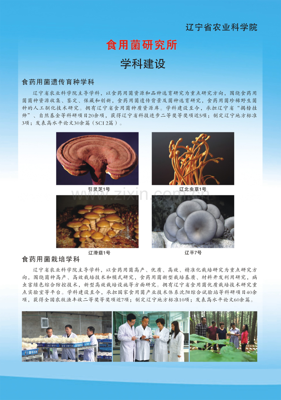 辽宁省农业科学院食用菌研究所.pdf_第2页