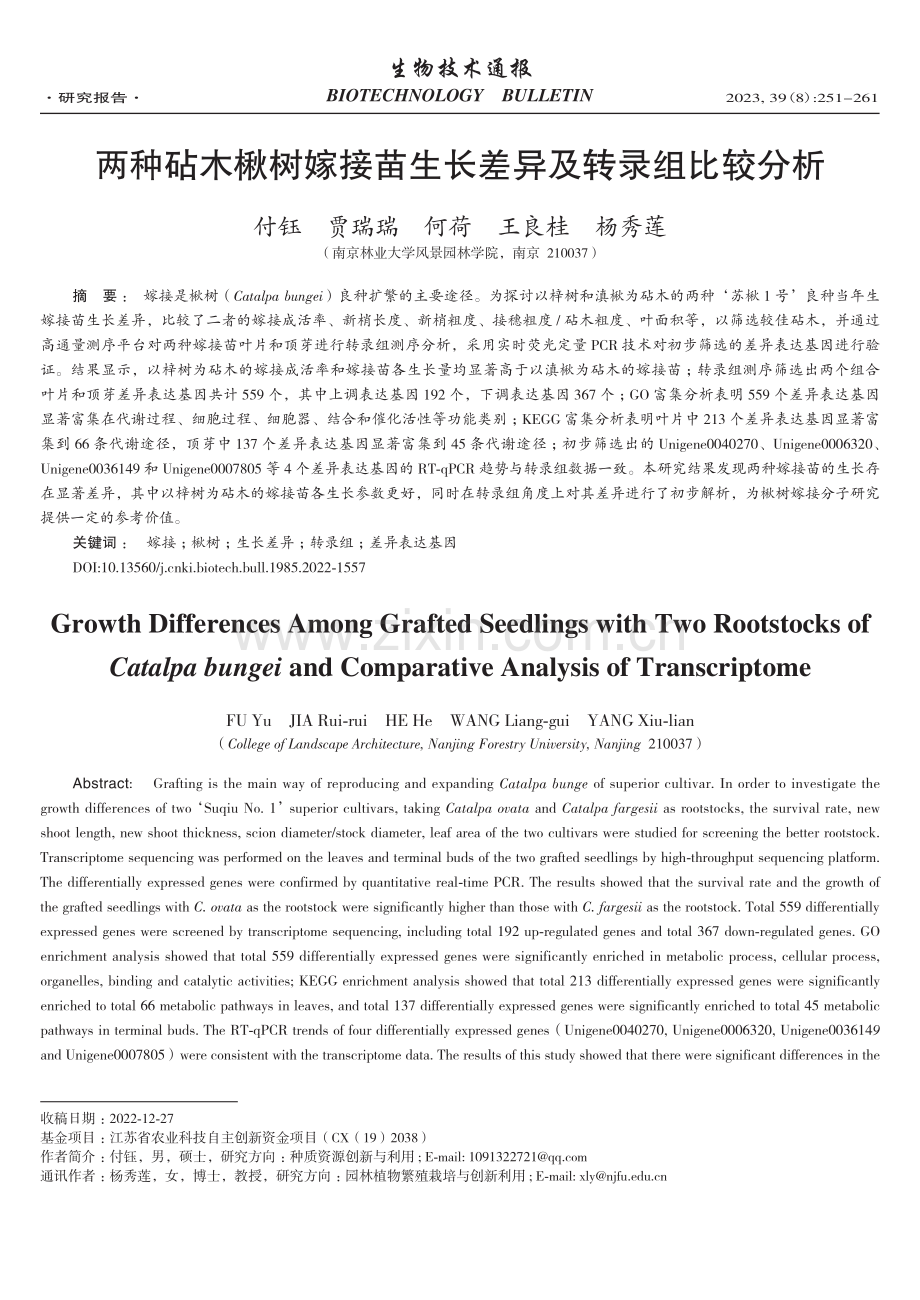 两种砧木楸树嫁接苗生长差异及转录组比较分析.pdf_第1页