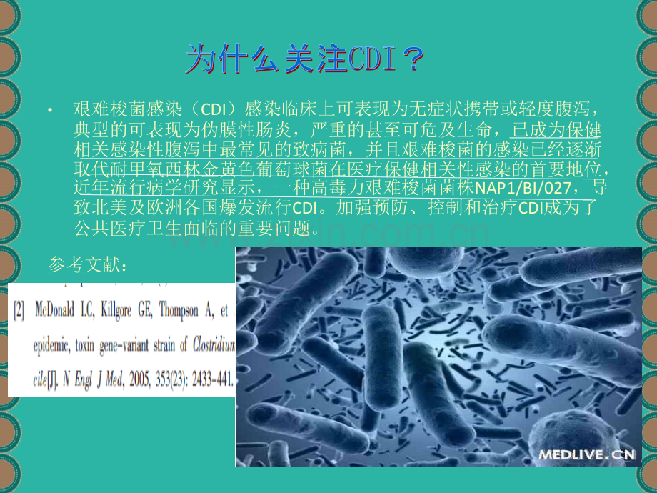 抗生素相关性艰难梭菌伪膜性肠炎PPT优质课件.ppt_第3页