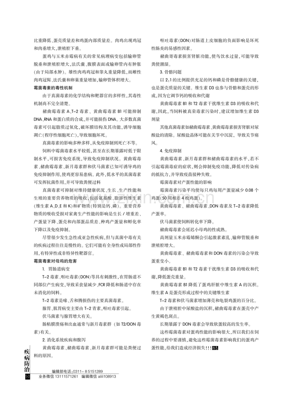 霉菌毒素对蛋鸡养殖的危害.pdf_第2页