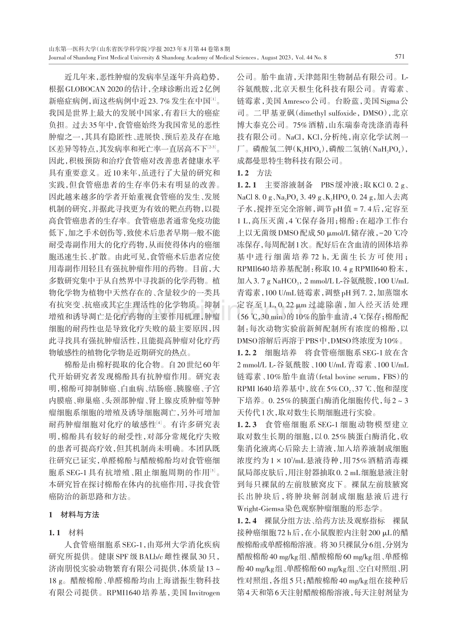 棉酚对食管癌细胞系SEG-1细胞裸鼠模型体内作用的研究.pdf_第2页