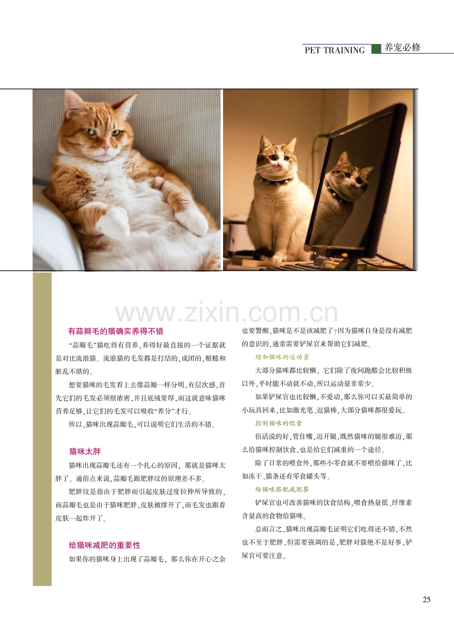 猫咪身上有“蒜瓣毛”是养得好的表现吗.pdf_第2页