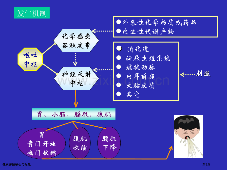 健康评估恶心与呕吐.pptx_第3页