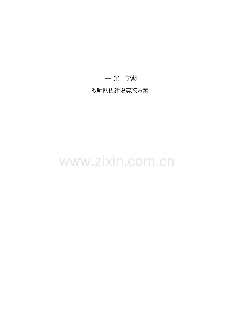 教师队伍建设实施方案.doc_第2页