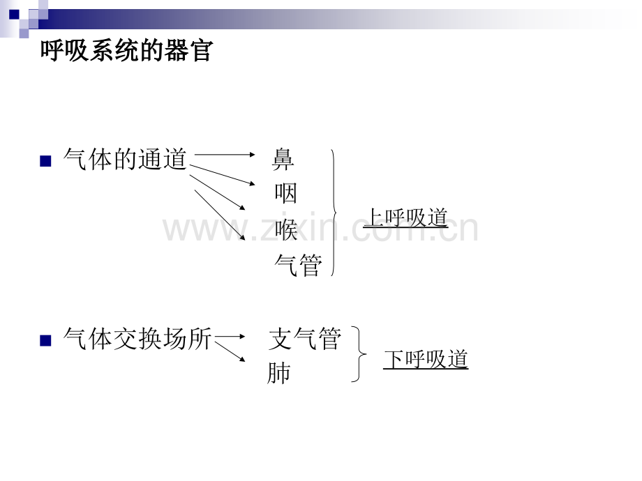 气道管理PPT课件.ppt_第3页