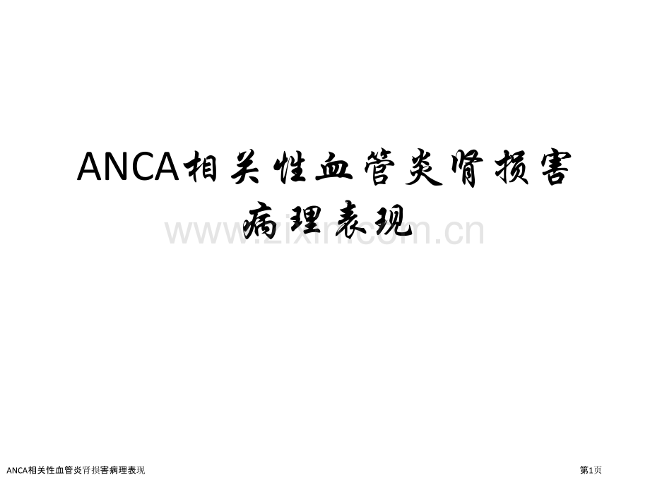 ANCA相关性血管炎肾损害病理表现.pptx_第1页