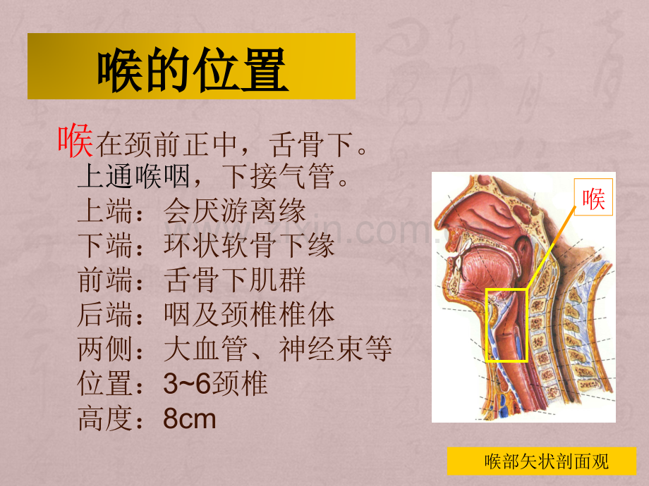 气管切开患者护理查房ppt课件.pptx_第3页