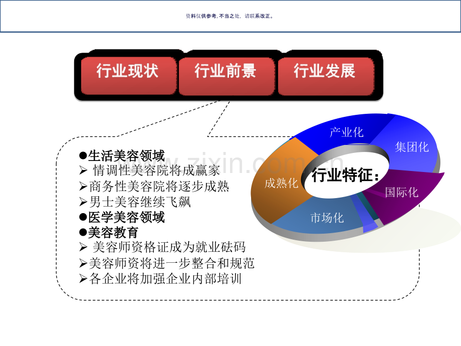 美容行业分析报告.ppt_第3页