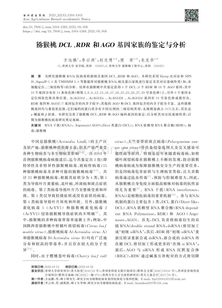 猕猴桃DCL、RDR和AGO基因家族的鉴定与分析.pdf_第1页