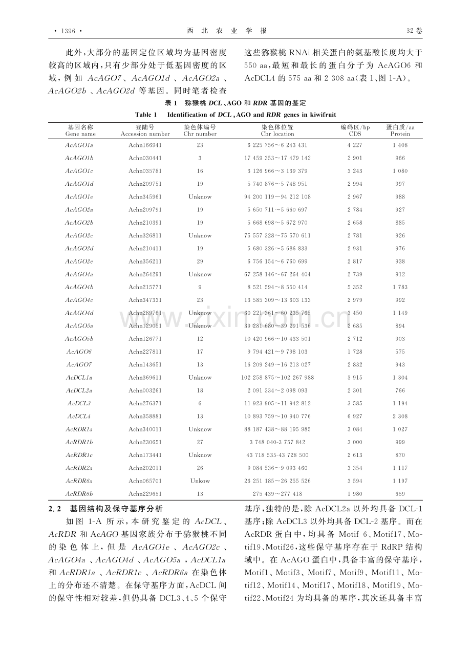 猕猴桃DCL、RDR和AGO基因家族的鉴定与分析.pdf_第3页