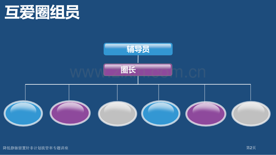 降低静脉留置针非计划拔管率专题讲座.pptx_第2页