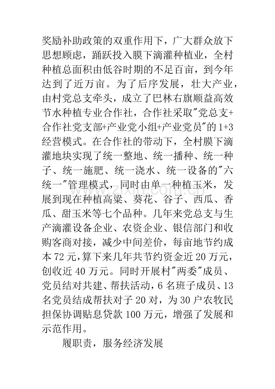 村党总支委员会事迹材料.docx_第3页