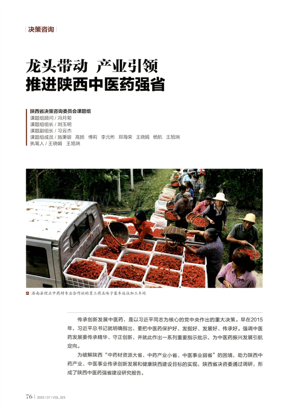 龙头带动 产业引领 推进陕西中医药强省.pdf_第1页