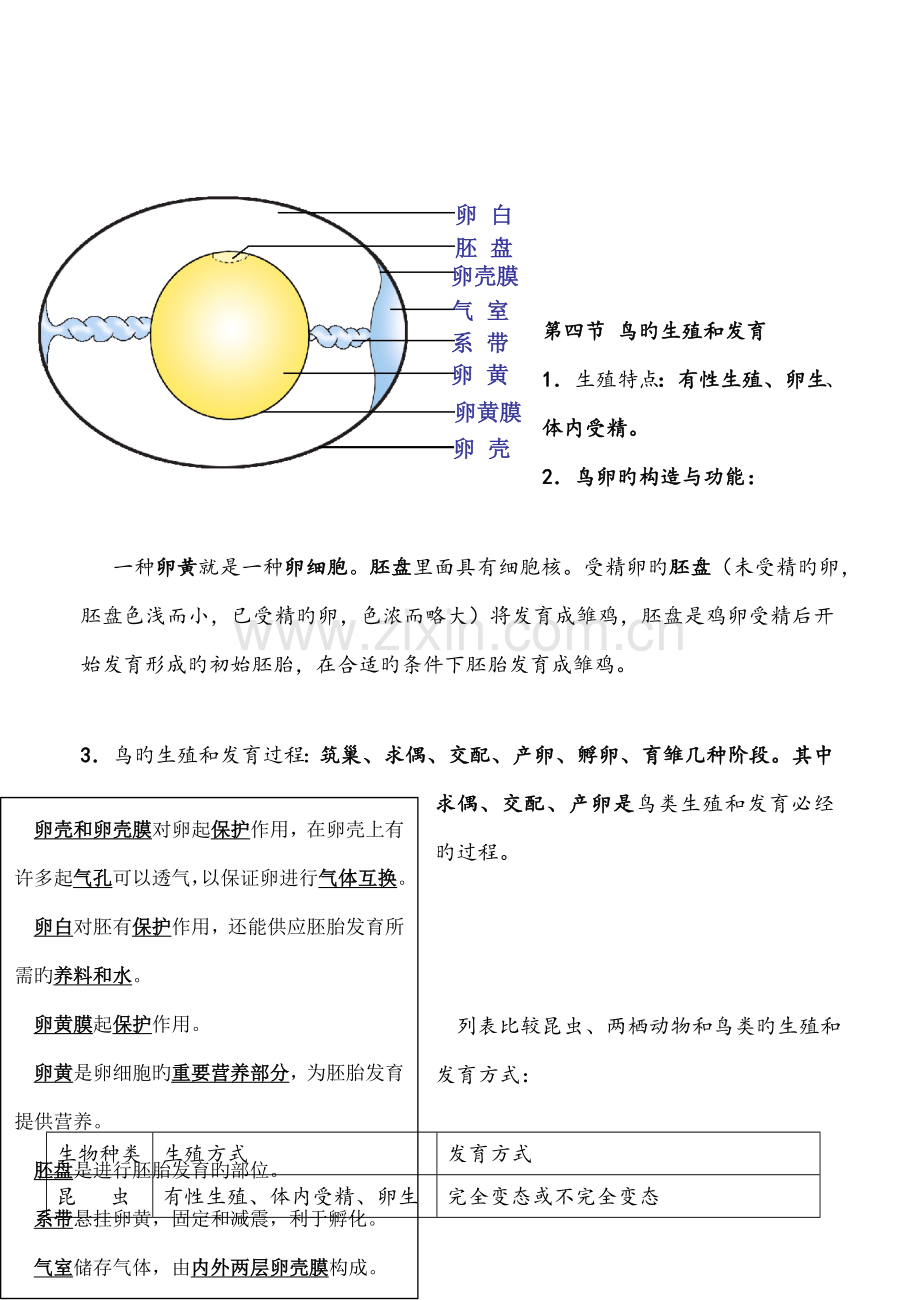 2023年八年级下册生物知识点归纳人教版.doc_第3页