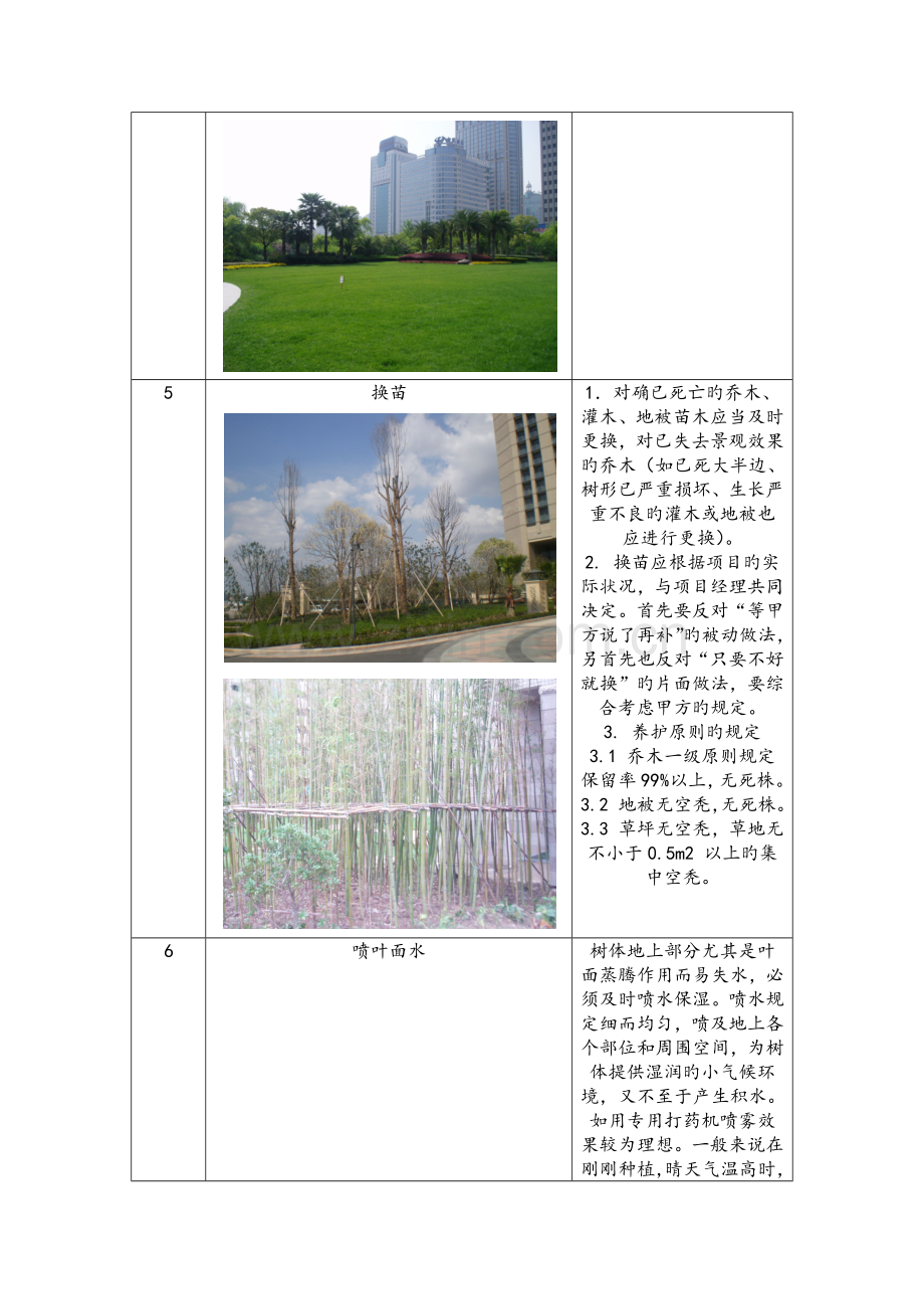 绿化养护技术交底.docx_第2页