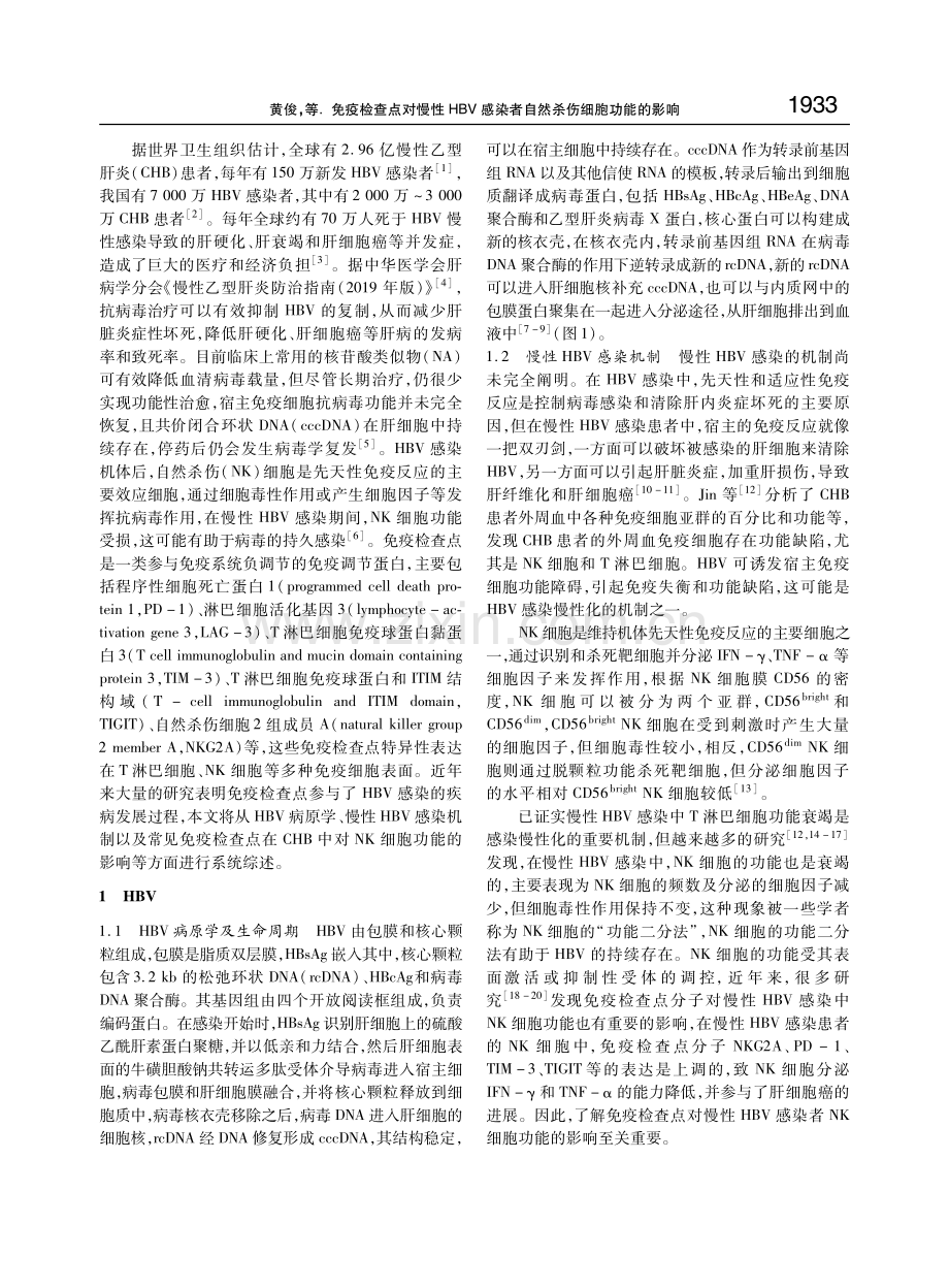 免疫检查点对慢性HBV感染者自然杀伤细胞功能的影响.pdf_第2页