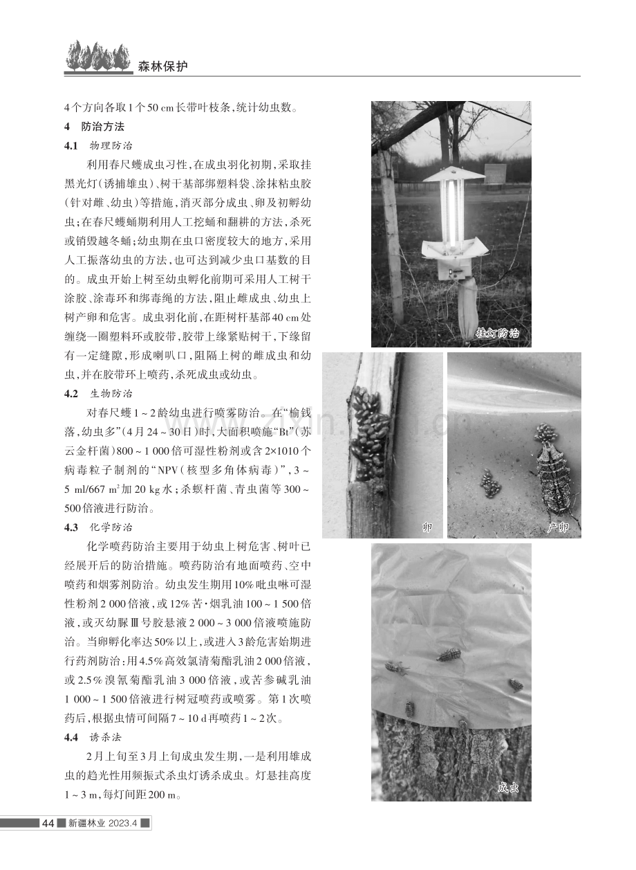 玛纳斯县春尺蠖调查与防治.pdf_第2页