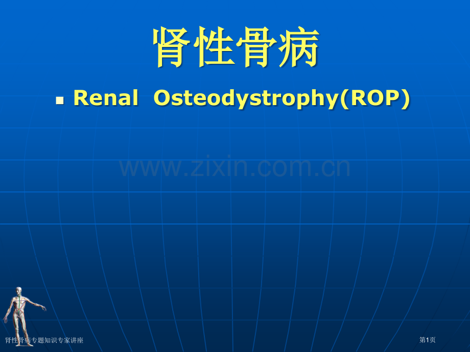肾性骨病专题知识专家讲座.pptx_第1页