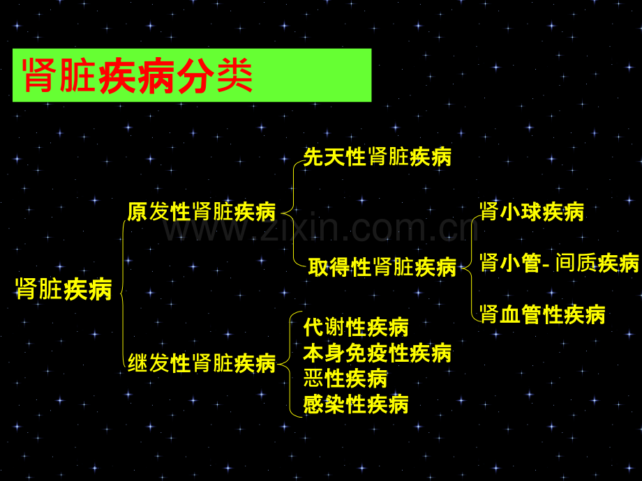 肾脏病临床诊断思路与技巧专家讲座.pptx_第2页