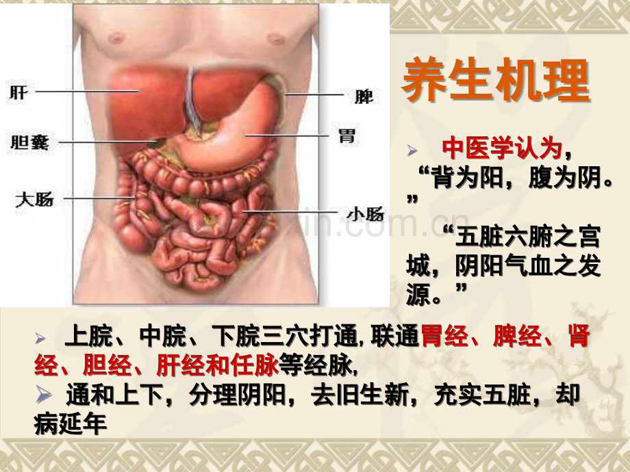 腹部推拿疗法优质PPT课件.ppt_第2页