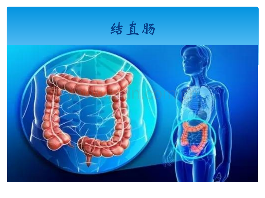 结直肠癌的化疗方案PPT优质课件.pptx_第2页