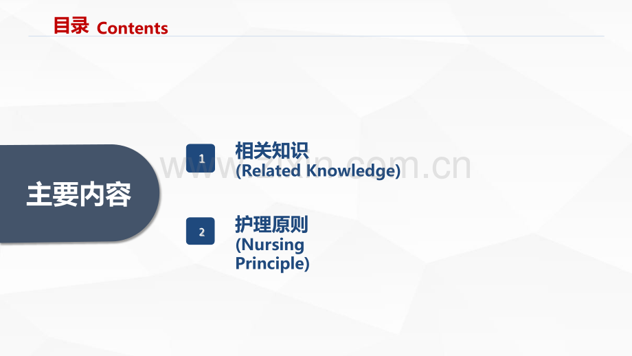 无痛分娩的护理查房ppt.pptx_第2页