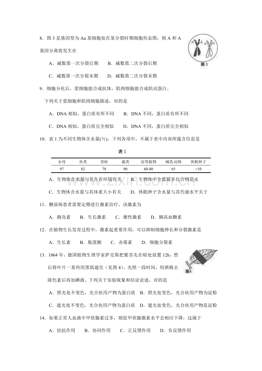 2021年上海学业水平考试生命科学试卷含答案.doc_第2页