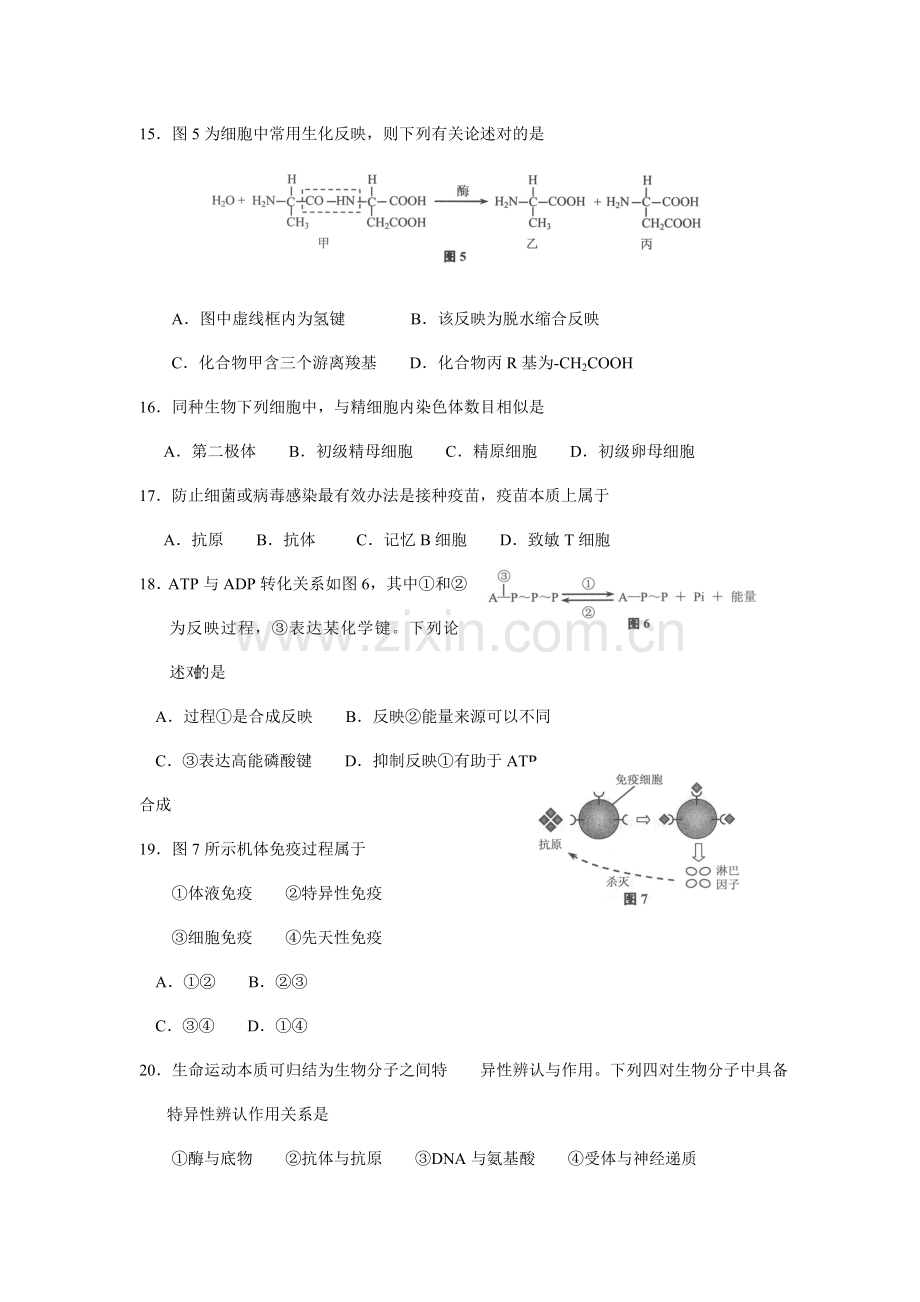 2021年上海学业水平考试生命科学试卷含答案.doc_第3页