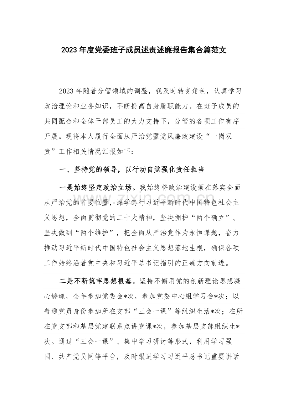 2023年度党委班子成员述责述廉报告多篇范文.docx_第1页