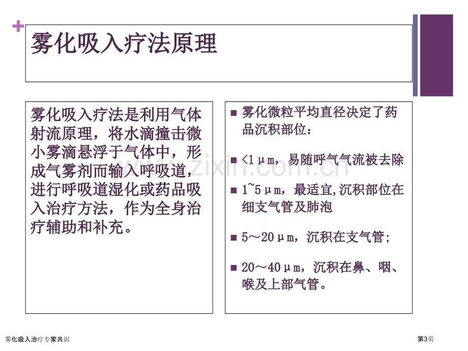 雾化吸入治疗专家共识.pptx_第3页