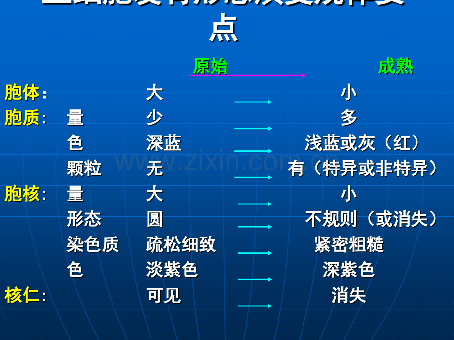 骨髓细胞学检查课件.ppt_第3页