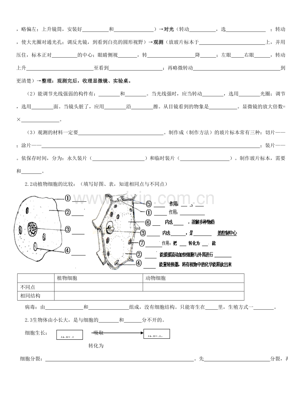 2023年初中生物中考总复习重要知识点图表等.doc_第3页