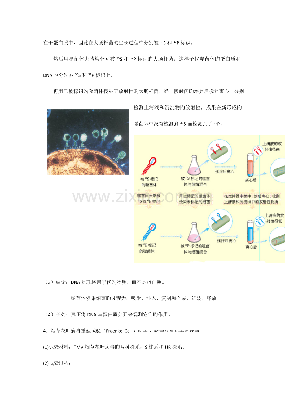 2023年高中生物奥林匹克竞赛辅导专题突破之基因与分子生物学.doc_第3页