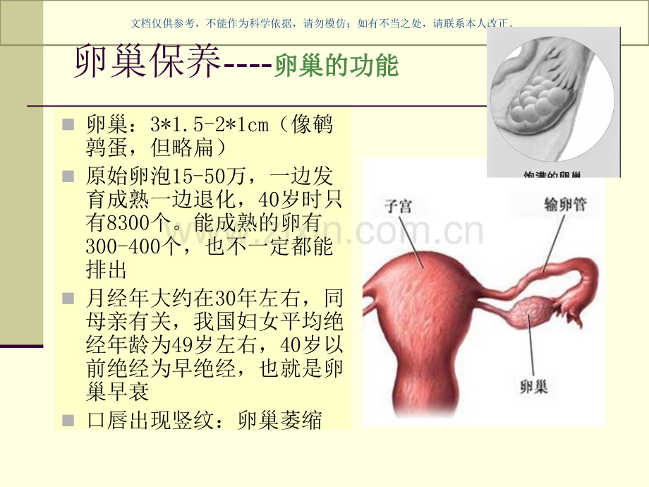 卵巢保养医学知识课件.ppt_第3页