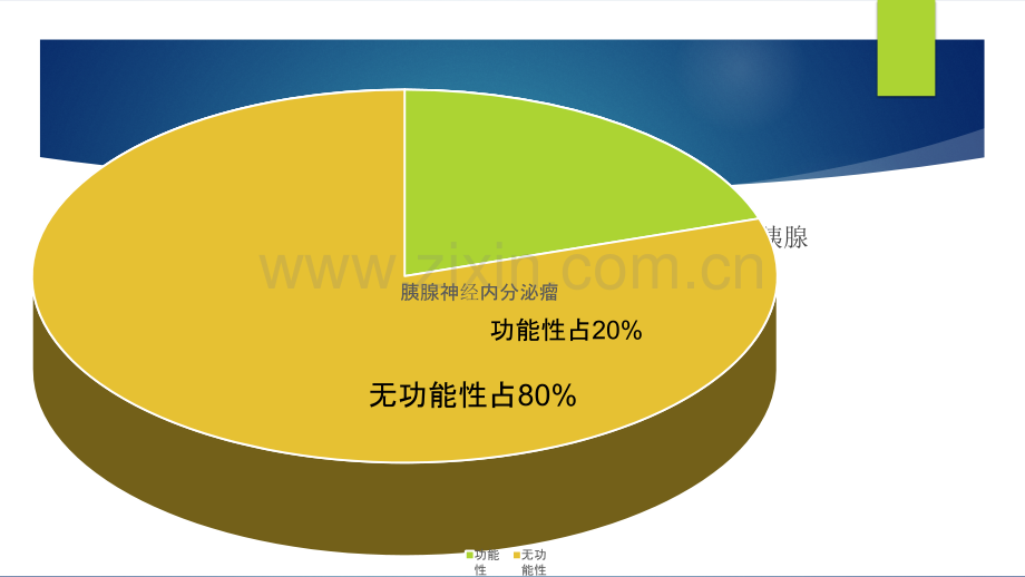 胰腺神经内分泌肿瘤治疗指南-(PPT课件).pptx_第3页