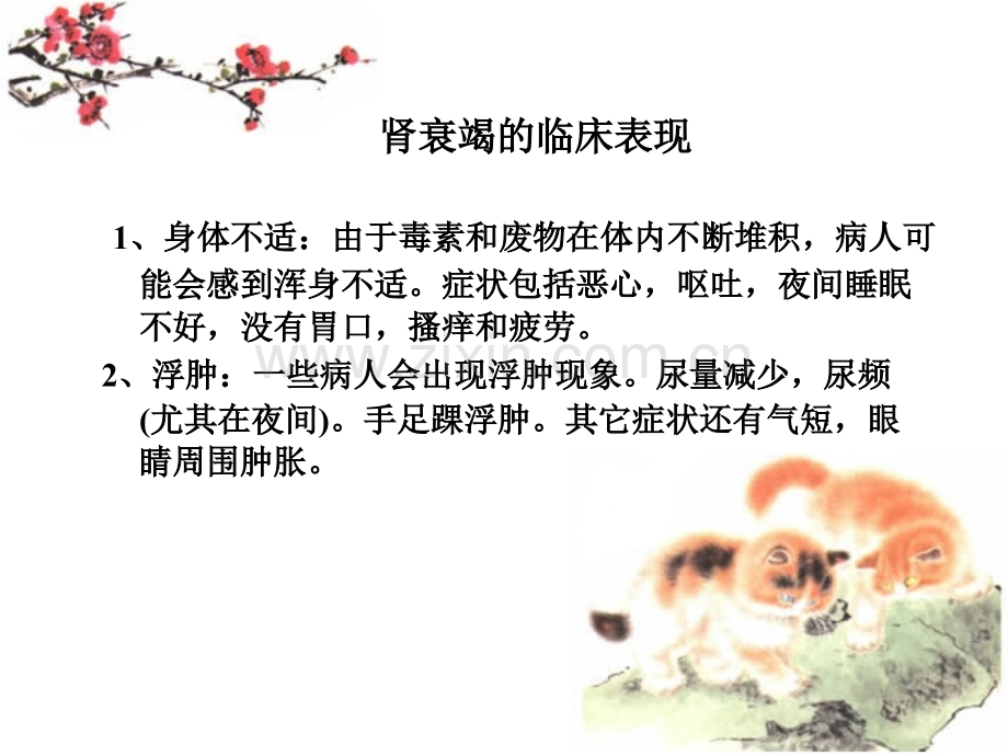 肾功能衰竭的观察与护理-医学课件.ppt_第2页