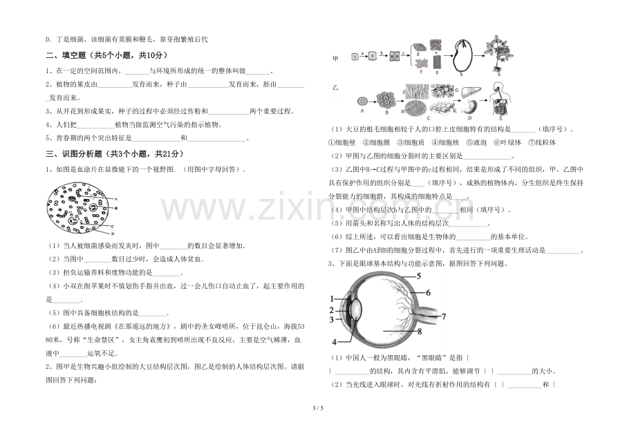 人教版七年级上册《生物》期末试卷及答案【完整版】.doc_第3页