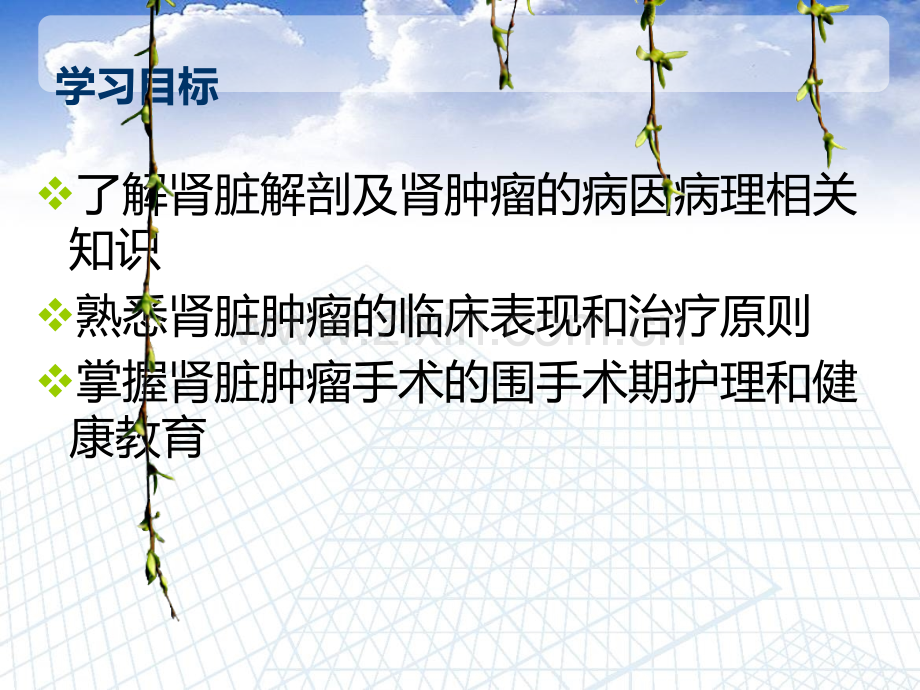 肾肿瘤的治疗和护理PPT优质课件.ppt_第2页