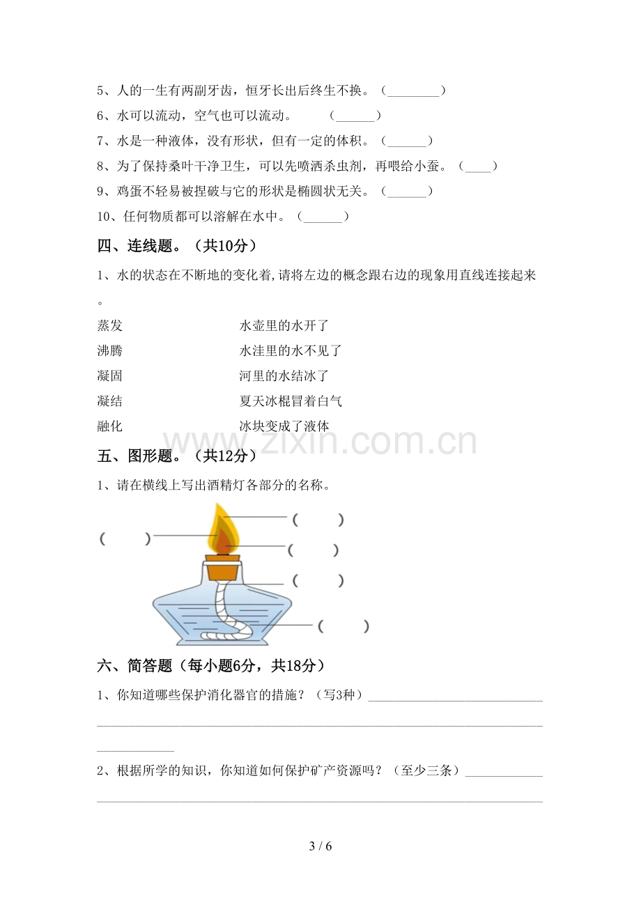 人教版三年级科学下册期中试卷(完整).doc_第3页