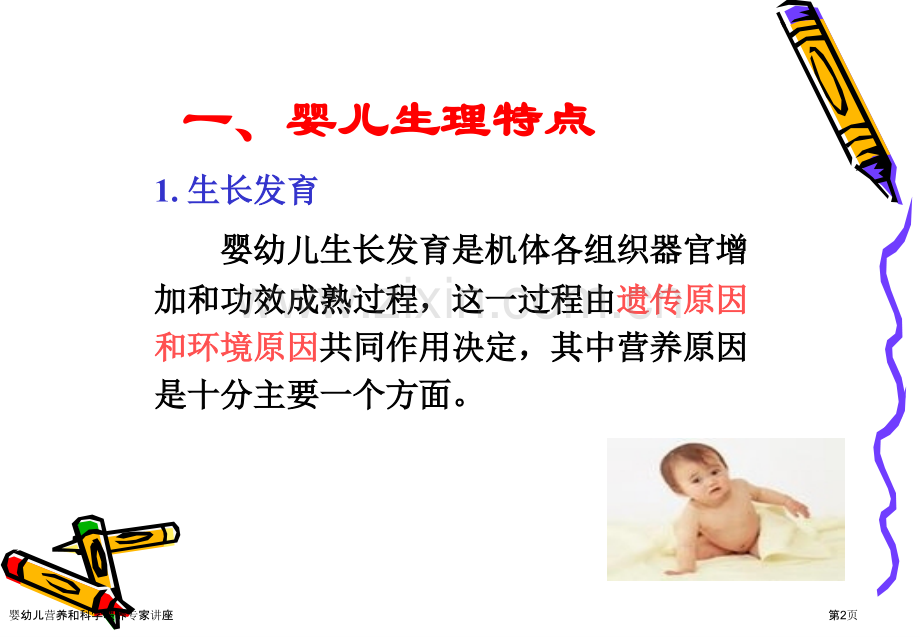 婴幼儿营养和科学喂养专家讲座.pptx_第2页