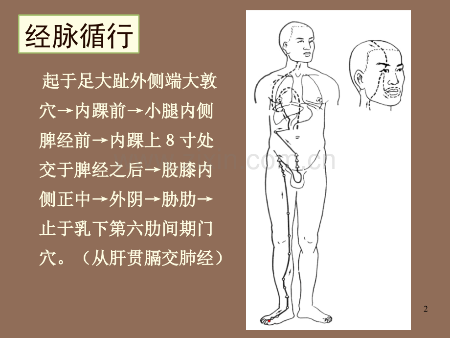 足厥阴肝经ppt课件.ppt_第2页