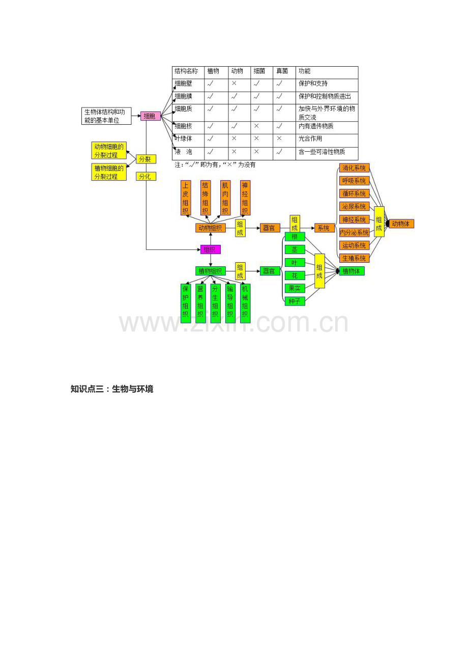 2023年初中生物知识点梳理思维导图.doc_第2页