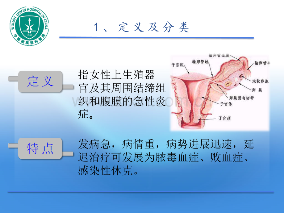 急性盆腔炎PPT课件.ppt_第3页