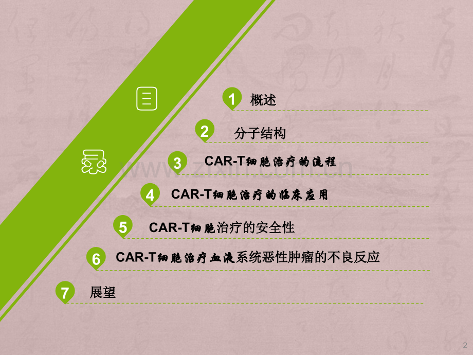 CAR-T细胞治疗ppt课件.pptx_第2页