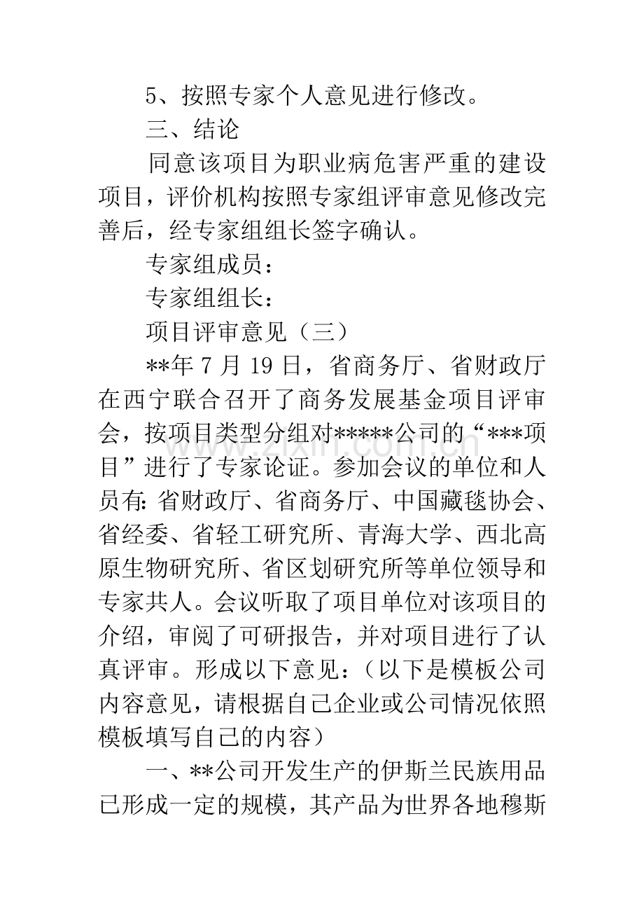 项目评审意见.docx_第3页