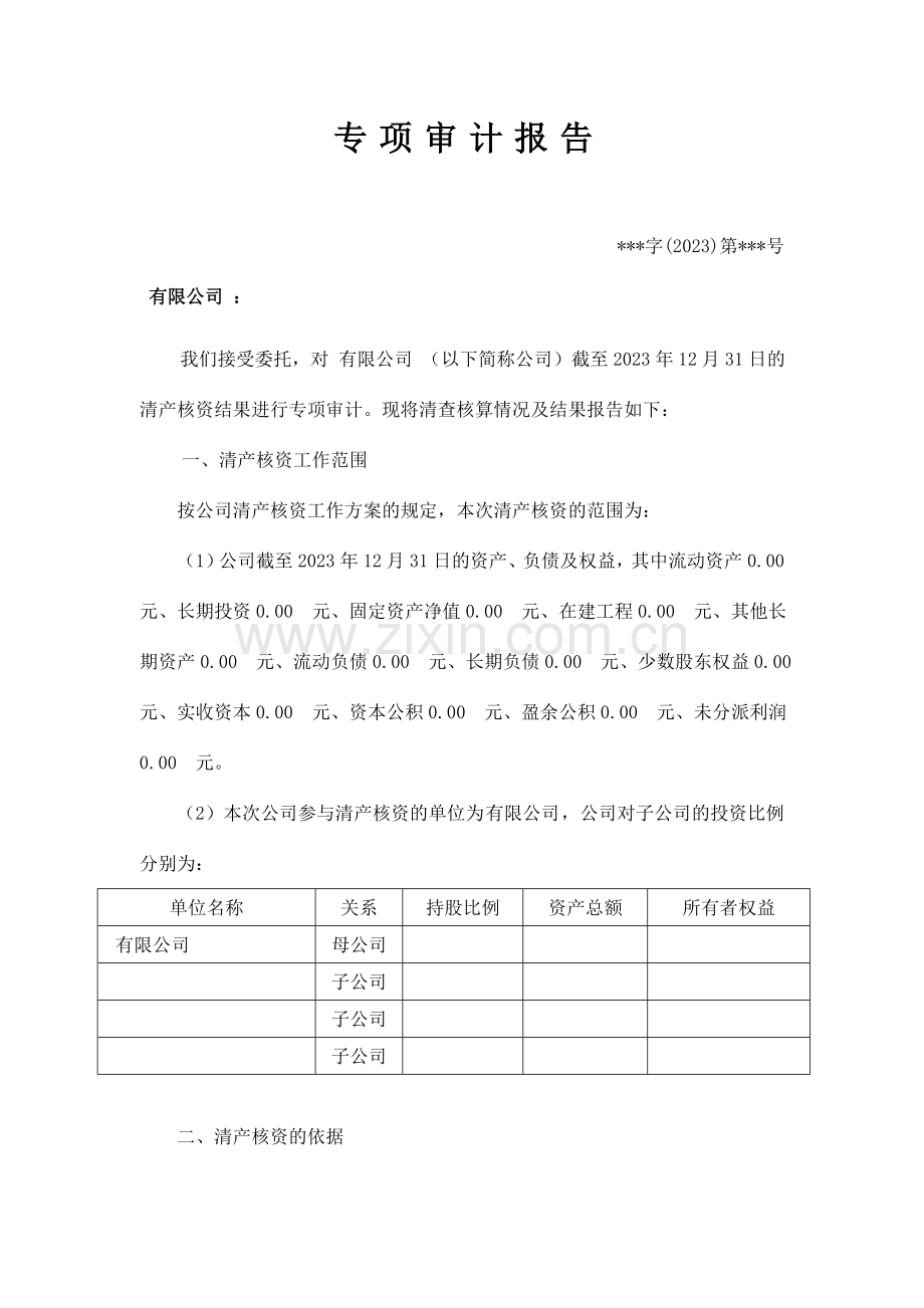 清产核资专项审计报告.doc_第2页