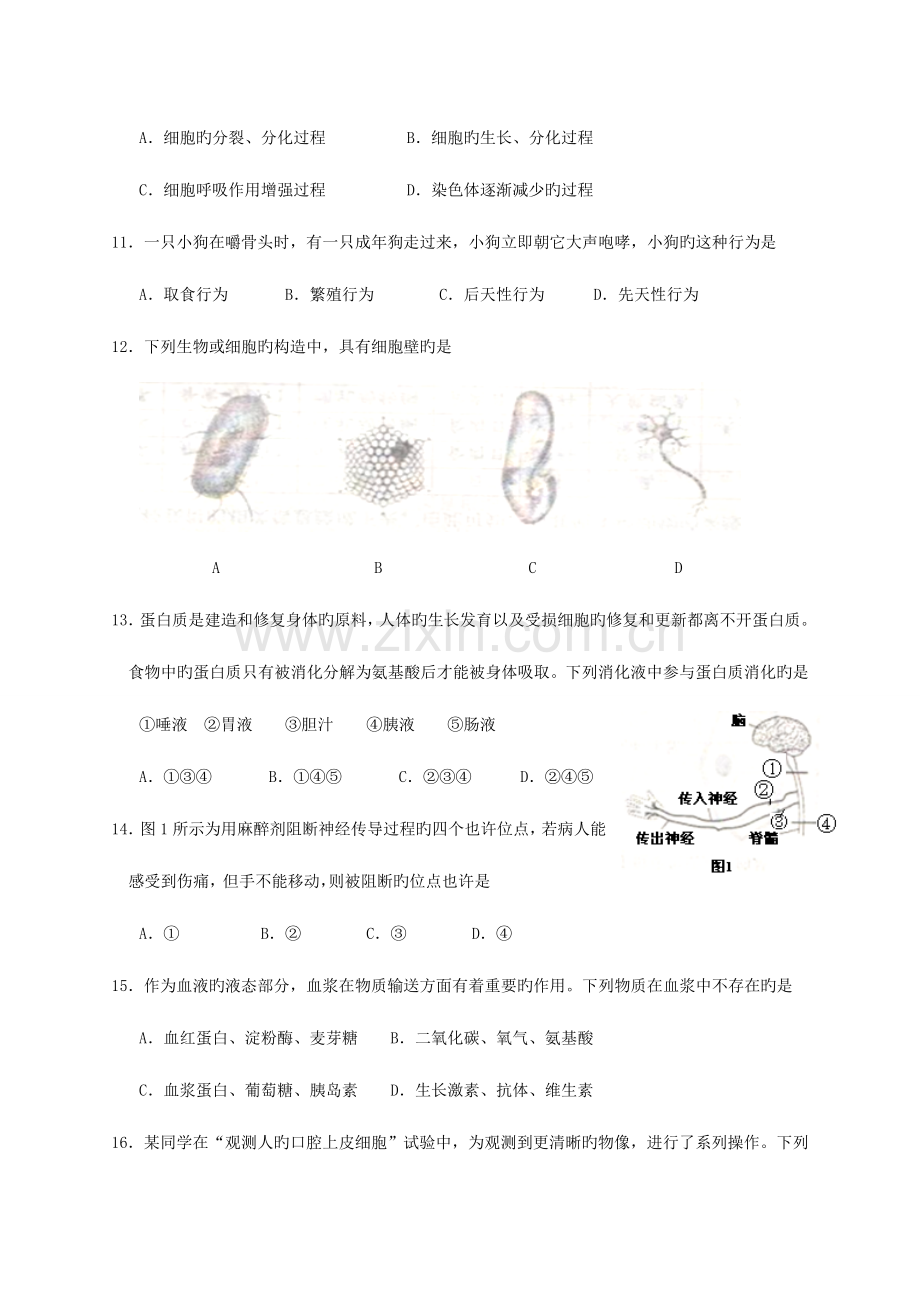 2023年山东省日照市中考生物模拟真题试题含答案.doc_第3页