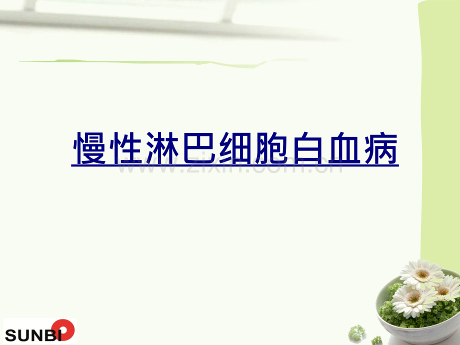 慢性淋巴细胞白血病PPT优质课件.ppt_第1页