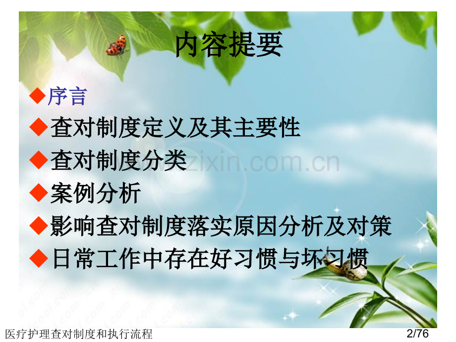 医疗护理查对制度和执行流程.ppt_第2页