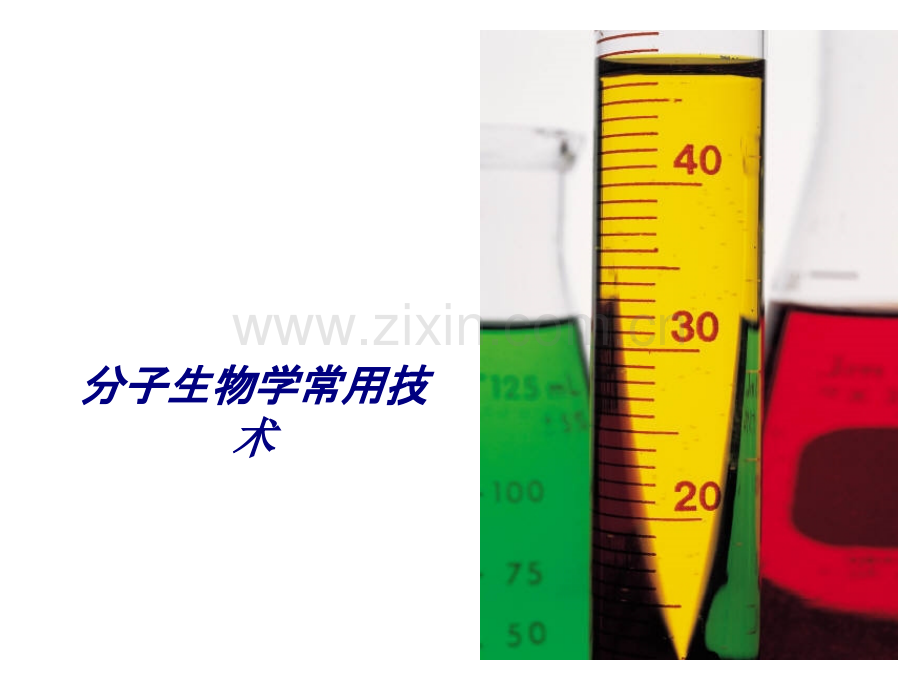 分子生物学常用技术专题培训课件.ppt_第1页